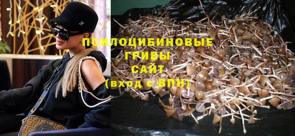 а пвп мука Богданович
