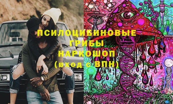Альфа ПВП Богородицк